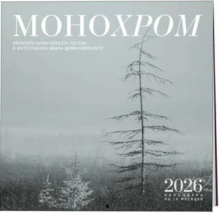 Календарь на 2026 г 'Монохром' настенный, на 16 месяцев, 30х3...
