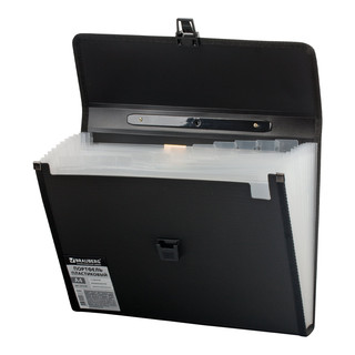 Портфель пластиковый А4, 13 отделений, черный (арт.221378) 3