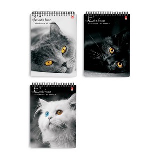 Блокнот 'Кошачий взгляд', A7, 40л, клетка, в ассортименте. Це...