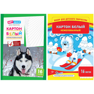 Картон белый, немелованный, А4, 16 листов ArtSpace