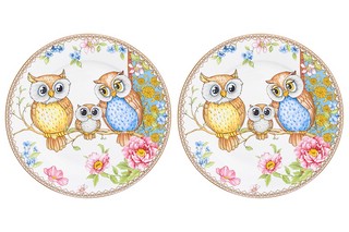 Набор тарелок для десертов 'Совушки' 2 предмета, d 19 см