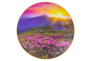 Тарелка декоративная 'Цветочное поле и горы' d 20 см, круг + крючок + подставка