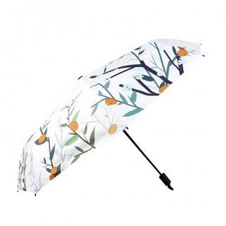 Зонт складной 'Кот с персиком' 2