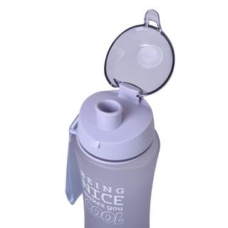 Бутылка для воды 650 мл, 25 см, Fissman 6927 2