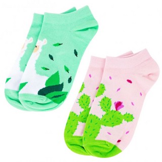 Носки 'Кактус и цветы', разм.35-39 5