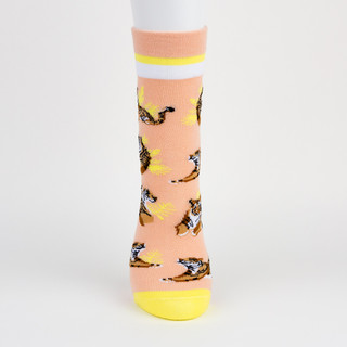 Две пары носков 'Тигры', разм.35-39, артикул KW009-001062 10