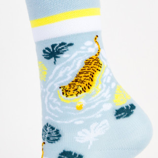 Две пары носков 'Тигры', разм.35-39, артикул KW009-001062 16