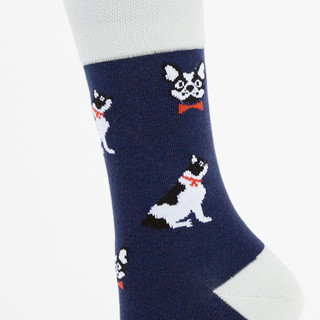 Носки 'Мопсы', разм.40-45, артикул KW009-000987 3