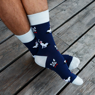 Носки 'Мопсы', разм.40-45, артикул KW009-000987 9