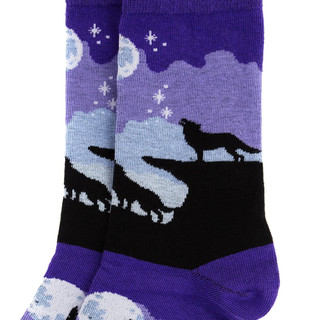 Носки 'Ночные волки', разм.40-45, артикул KW009-001041 3