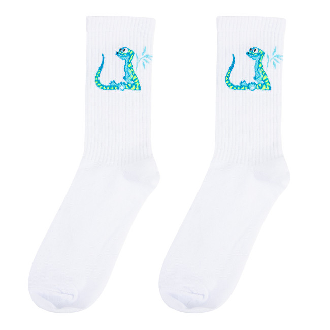 Носки 'Ящер', разм.35-39, артикул KW009-001084