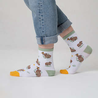 Носки 'Капибары, апельсин и птица', разм.35-39, артикул KW009-001180 4