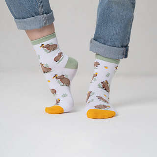 Носки 'Капибары, апельсин и птица', разм.35-39, артикул KW009-001180 5