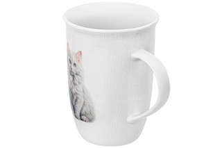 Кружка 450 мл 'Кошка Василиса', Elan Gallery 2