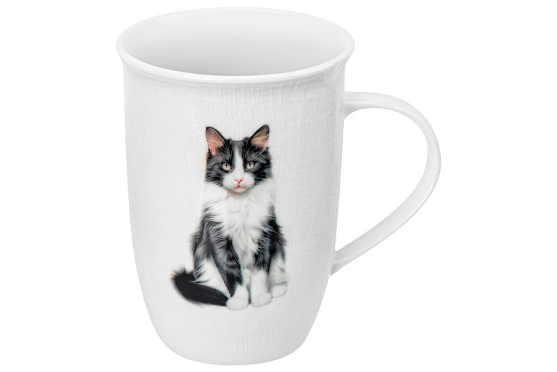Кружка 450 мл 'Кот Степан', Elan Gallery