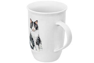 Кружка 450 мл 'Кот Степан', Elan Gallery 2