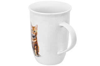 Кружка 450 мл 'Кот Борис', Elan Gallery 2