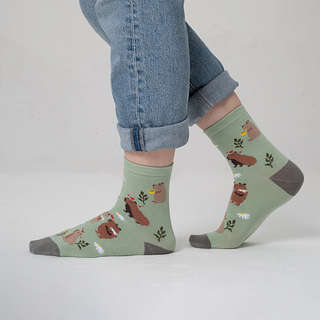 Носки 'Капибара' зеленый, разм.35-39, артикул KW009-001179 5