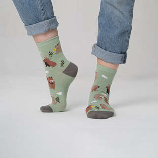 Носки 'Капибара' зеленый, разм.35-39, артикул KW009-001179 6