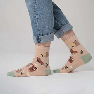 Носки 'Капибара' беж, разм.35-39, артикул KW009-001177 5