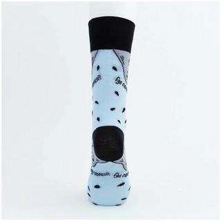 Носки 'Голуби', разм.40-45, артикул KW009-000657 11