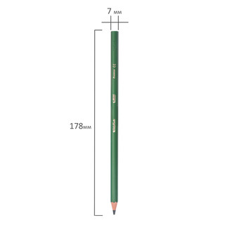 Карандаши цветные Bic Evolution 12 цветов 5