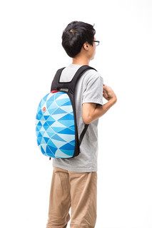 Рюкзак SHELL BACKPACKS, цвет голубой 4