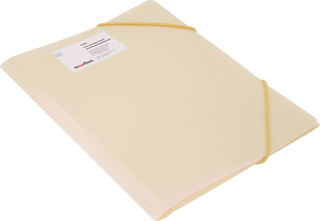 Папка на резинке Бюрократ Gems А4 цвет кремовый жемчуг