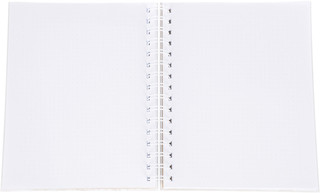 Блокнот в точку: Bullet journal (белый) 2