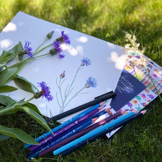 Карандаши цветные 'HappyColor' 12 цветов, трехгранные, ассорти. Цена за 1 коробку 5