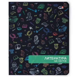 Тетрадь предметная Альт 'Литература', A5, 48 л, линейка
