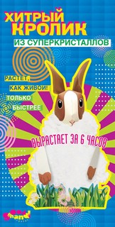 Волшебные кристаллы Хитрый кролик