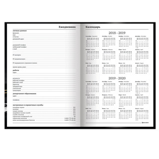 Ежедневник учителя 'Яблоко на черном' А5, 72 л, Brauberg 5