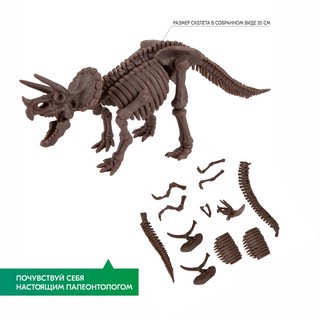 Раскопай скелет. Трицератопс. Конструктор 4M 4