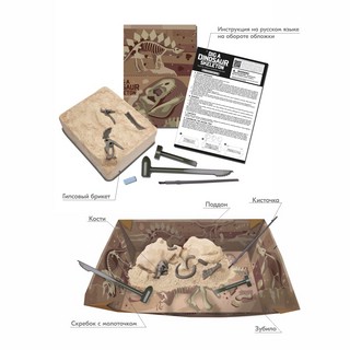 Раскопай скелет. Трицератопс. Конструктор 4M 2