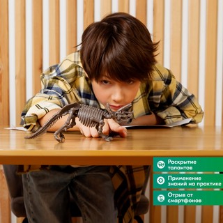 Раскопай скелет. Трицератопс. Конструктор 4M 6