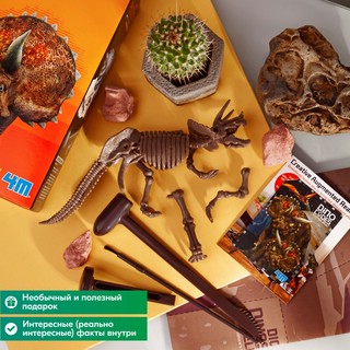 Раскопай скелет. Трицератопс. Конструктор 4M 8