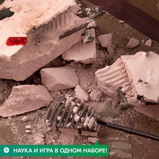 Раскопай скелет. Трицератопс. Конструктор 4M 3