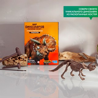 Раскопай скелет. Трицератопс. Конструктор 4M 10