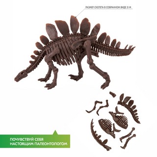 Раскопай скелет. Стегозавр. Конструктор 4M 6
