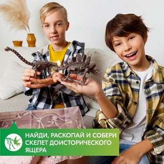 Раскопай скелет. Стегозавр. Конструктор 4M 8