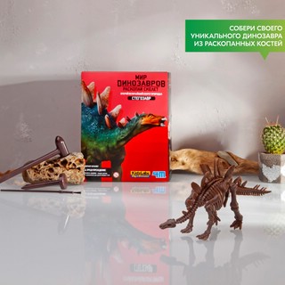 Раскопай скелет. Стегозавр. Конструктор 4M 2