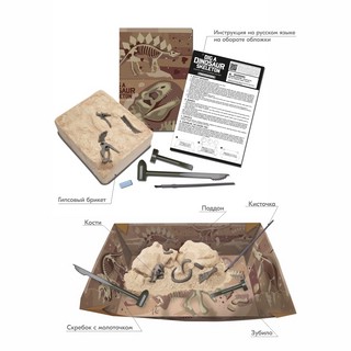 Раскопай скелет. Стегозавр. Конструктор 4M 3