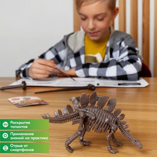 Раскопай скелет. Стегозавр. Конструктор 4M 9