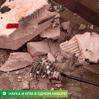 Раскопай скелет. Стегозавр. Конструктор 4M 5