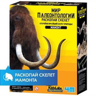 Раскопай скелет. Мамонт. Конструктор 4M 12