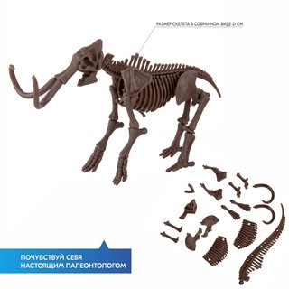 Раскопай скелет. Мамонт. Конструктор 4M 7