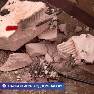 Раскопай скелет. Брахиозавр. Конструктор 4M 7