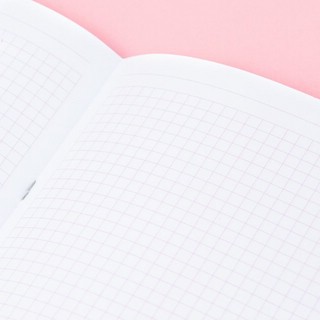 Тетрадь в розовую клетку А4 'Magic ice cream' 3