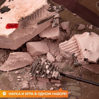 Раскопай скелет. Велоцираптор. Конструктор 4M 10